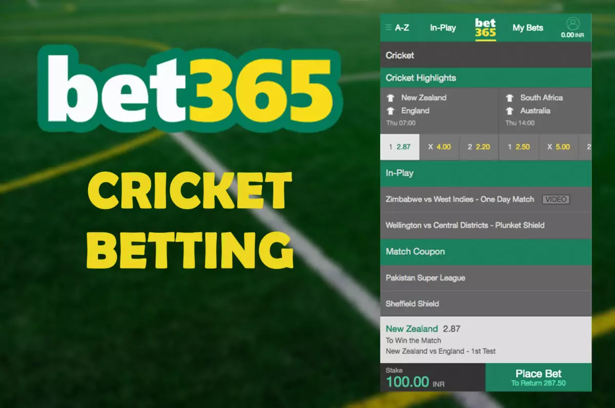 The World's Most Unusual Discover Thrilling Betting Opportunities with Metabet