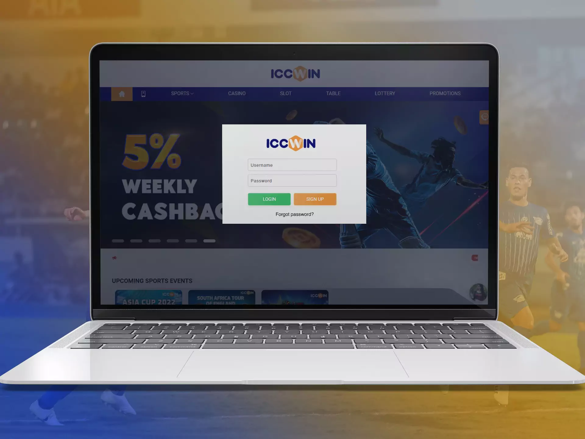 Log into the ICCWin account before betting.