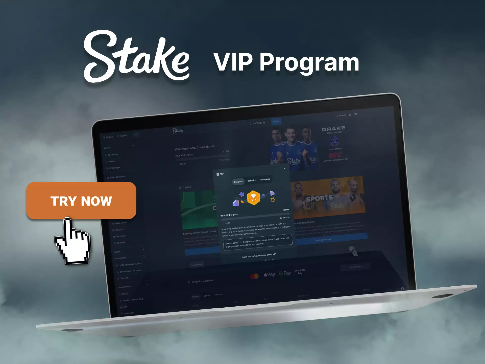 Regular users of Stake receive additional bonuses from the Stake VIP program.