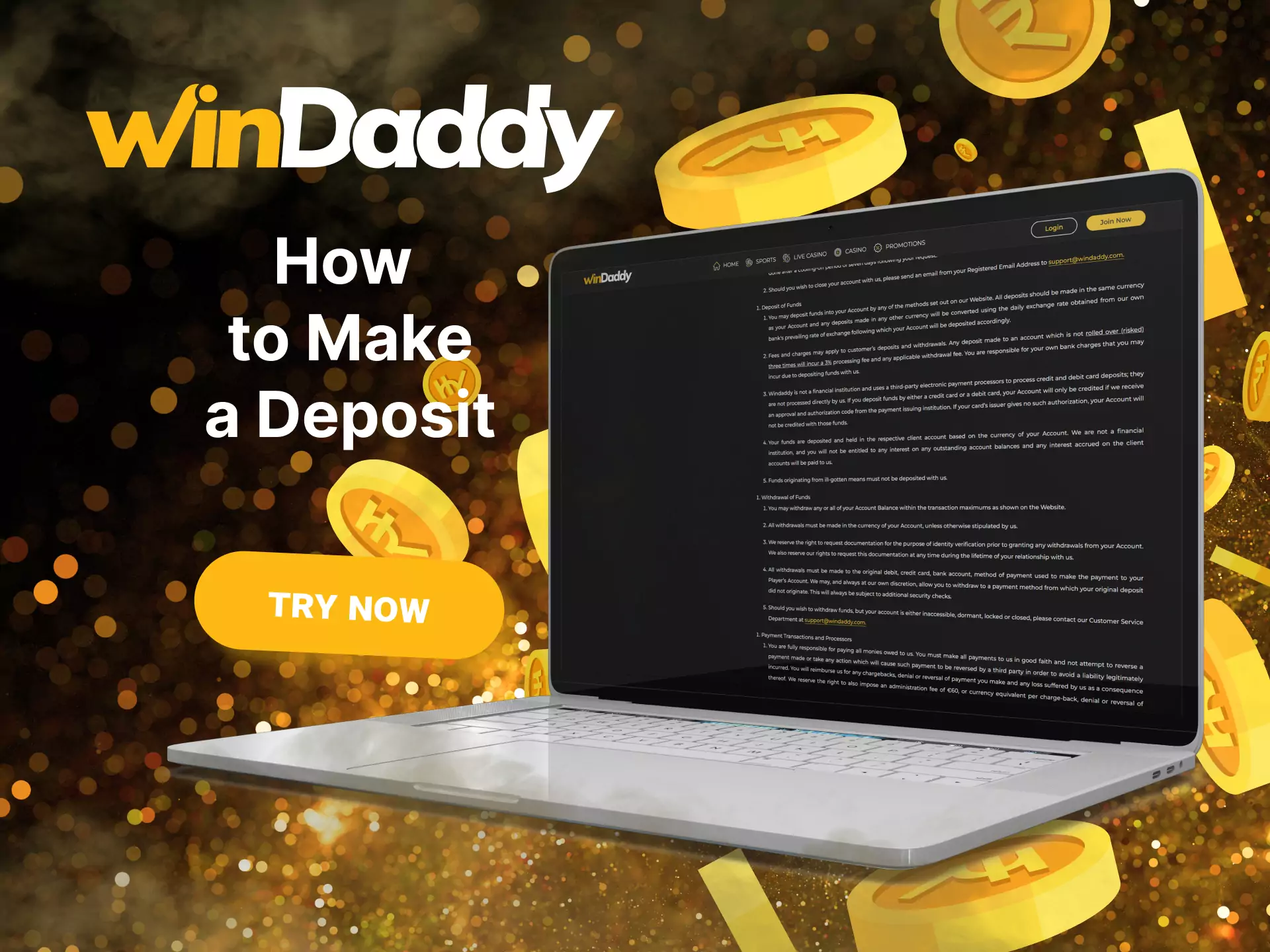 Windaddy supports many deposit methods.