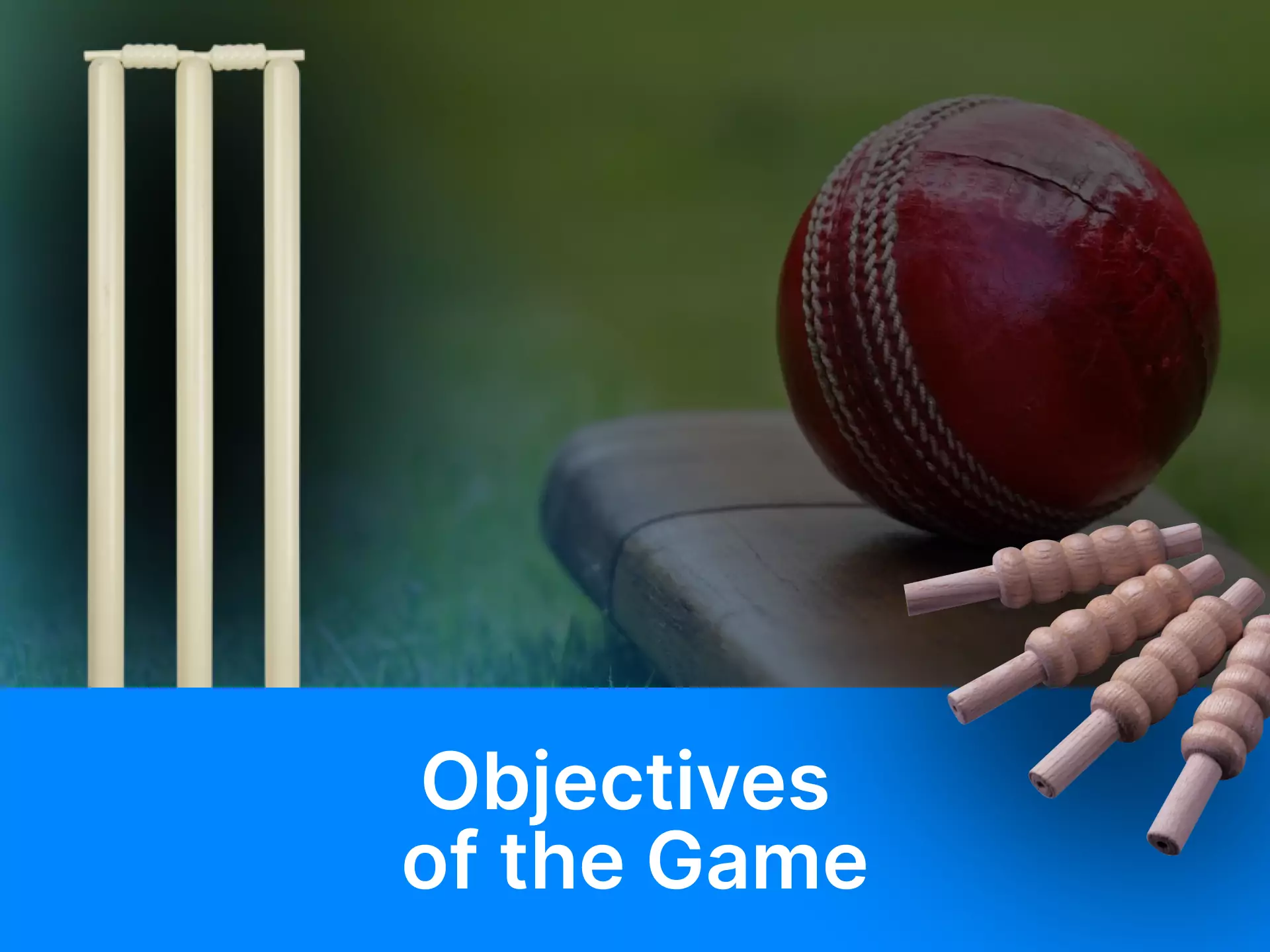 Understand more about the objectives of a game like cricket.