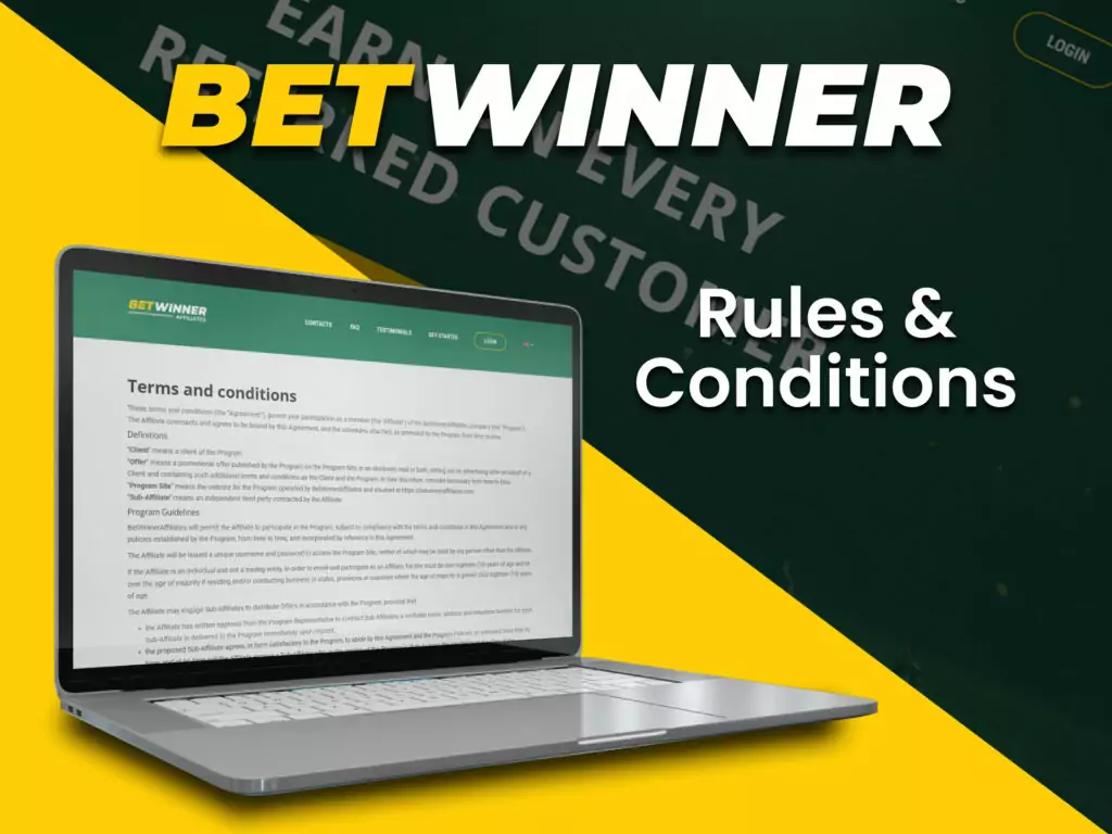 Sports Betting With Betwinner - What Do Those Stats Really Mean?