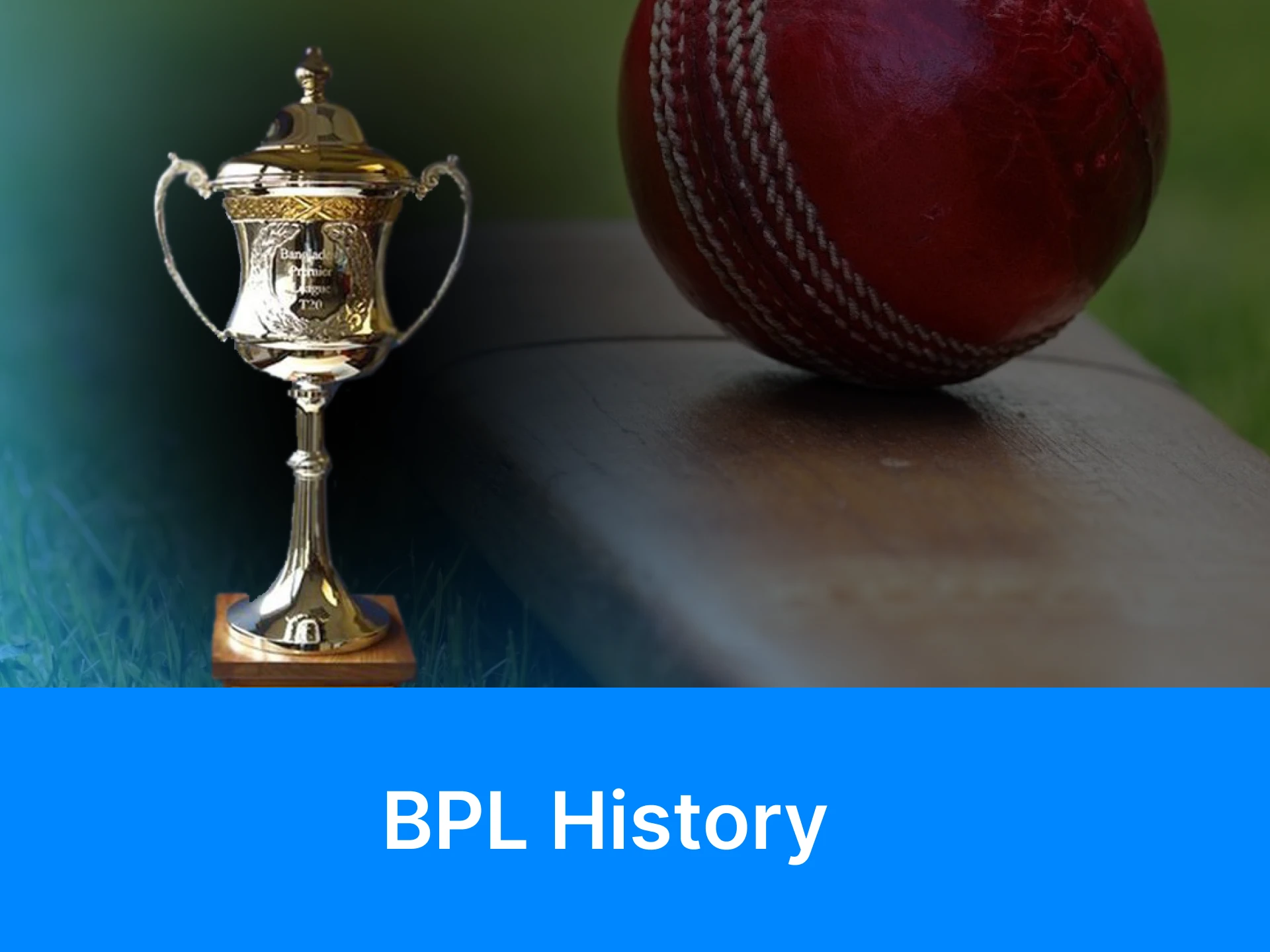 BPL was founded in 2011 by the Bangladesh Cricket Board.