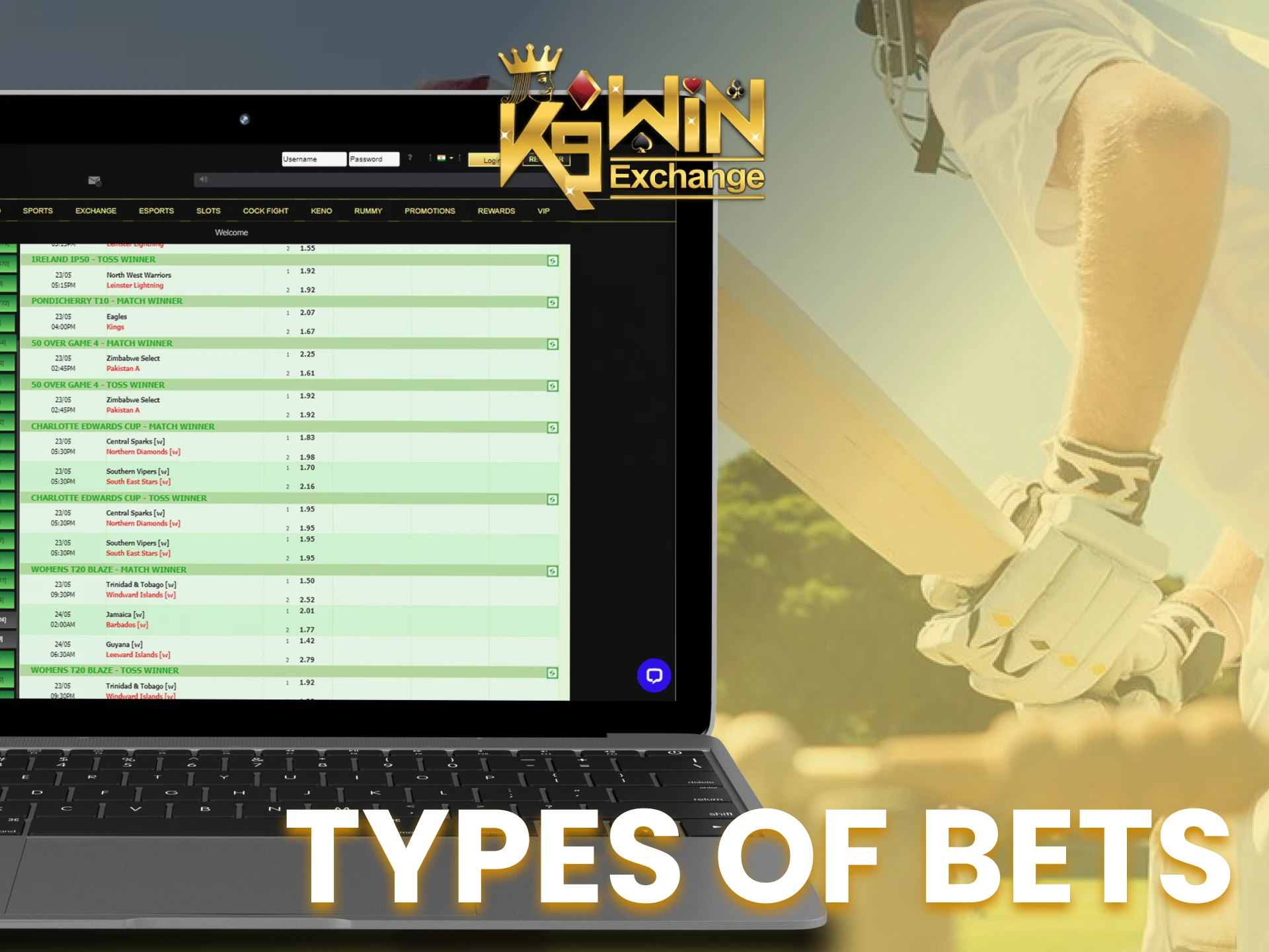 Make different types of bets when making a new bet at K9Win.