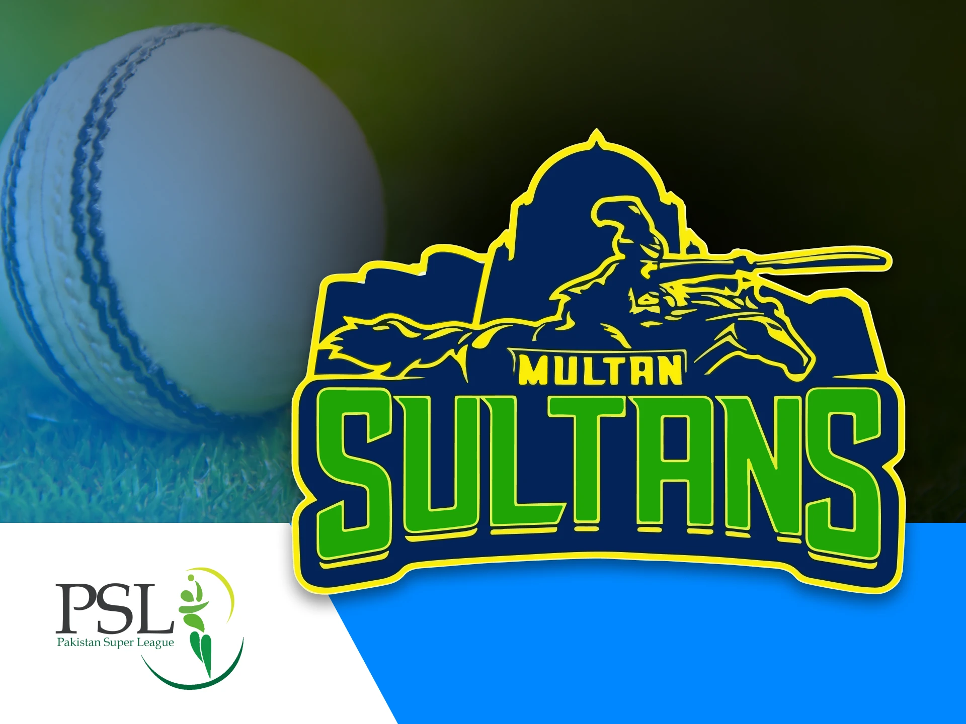 Multan Sultans is a franchise cricket team from Pakistan.