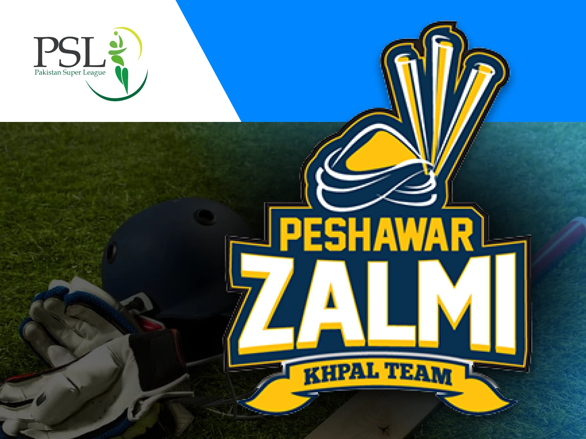 Peshawar Zalmi is a Pakistani cricket franchise that represents Peshawar.