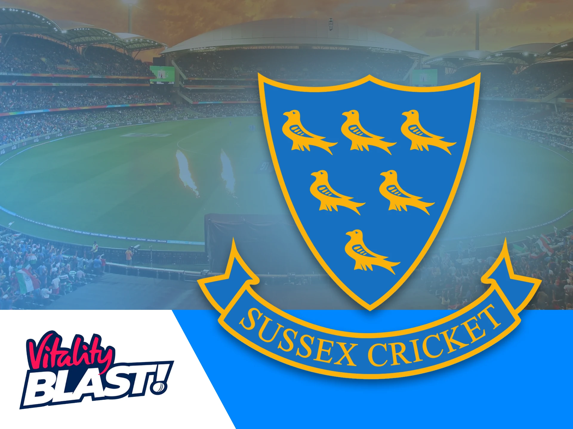 The Sussex team participates in each of England's premier domestic cricket tournaments.