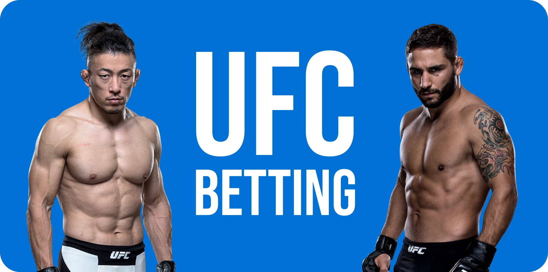 Get to know the basics of betting on the UFC.