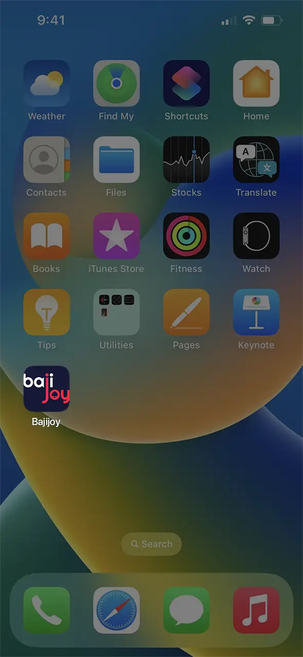 Install the Bajijoy app on your iOS device.