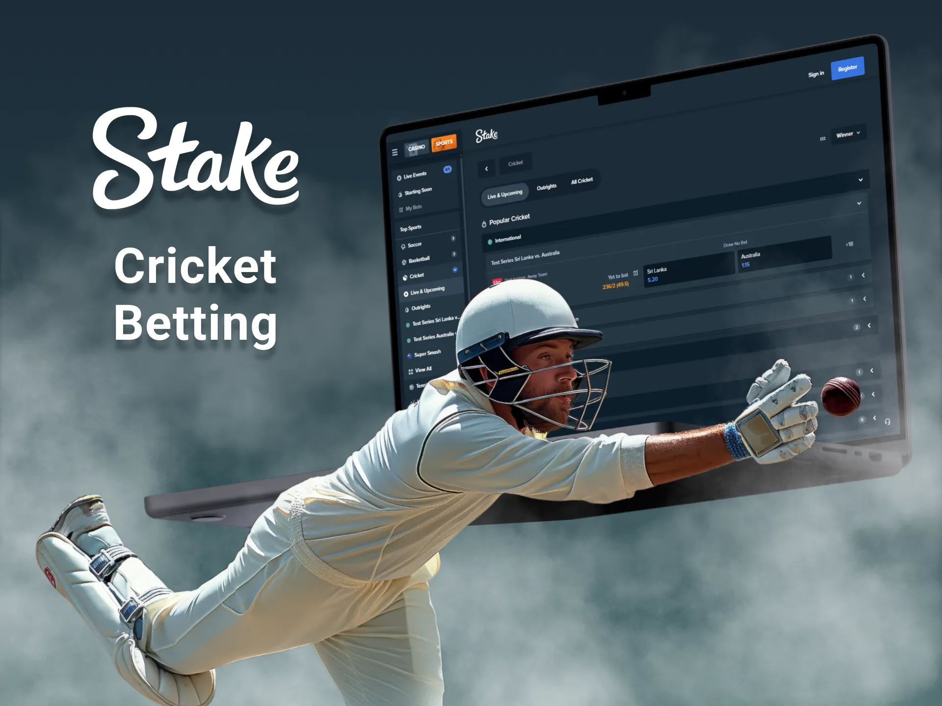 You can bet on cricket on Stake in India.