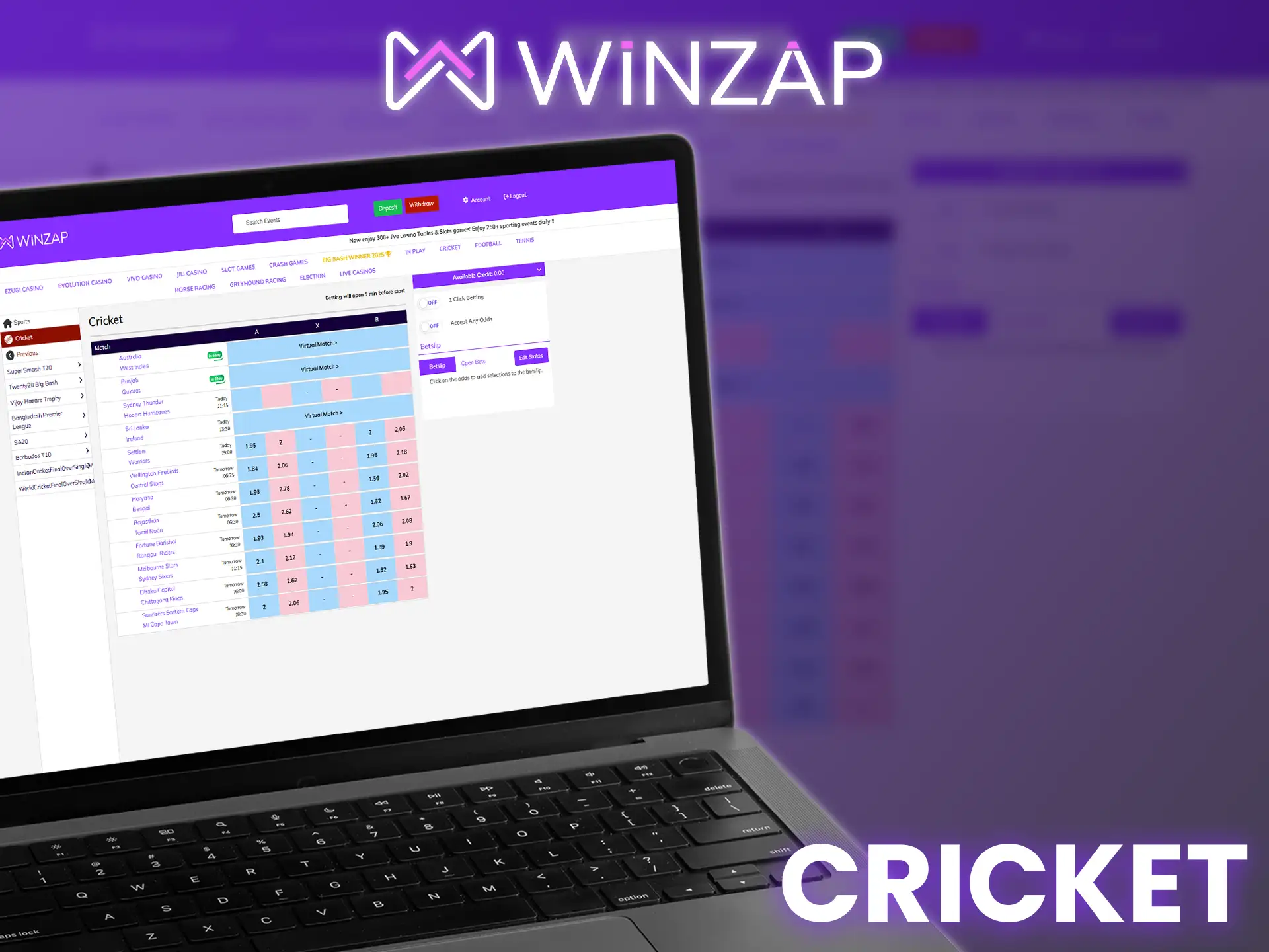 Place bets on all popular cricket events on Winzap.