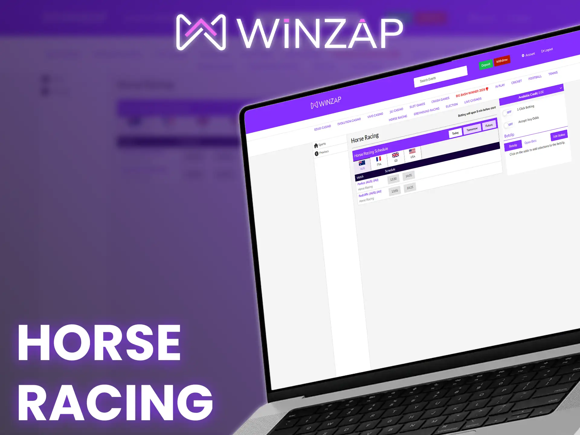 Horse racing fans will find extensive betting opportunities at Winzap.