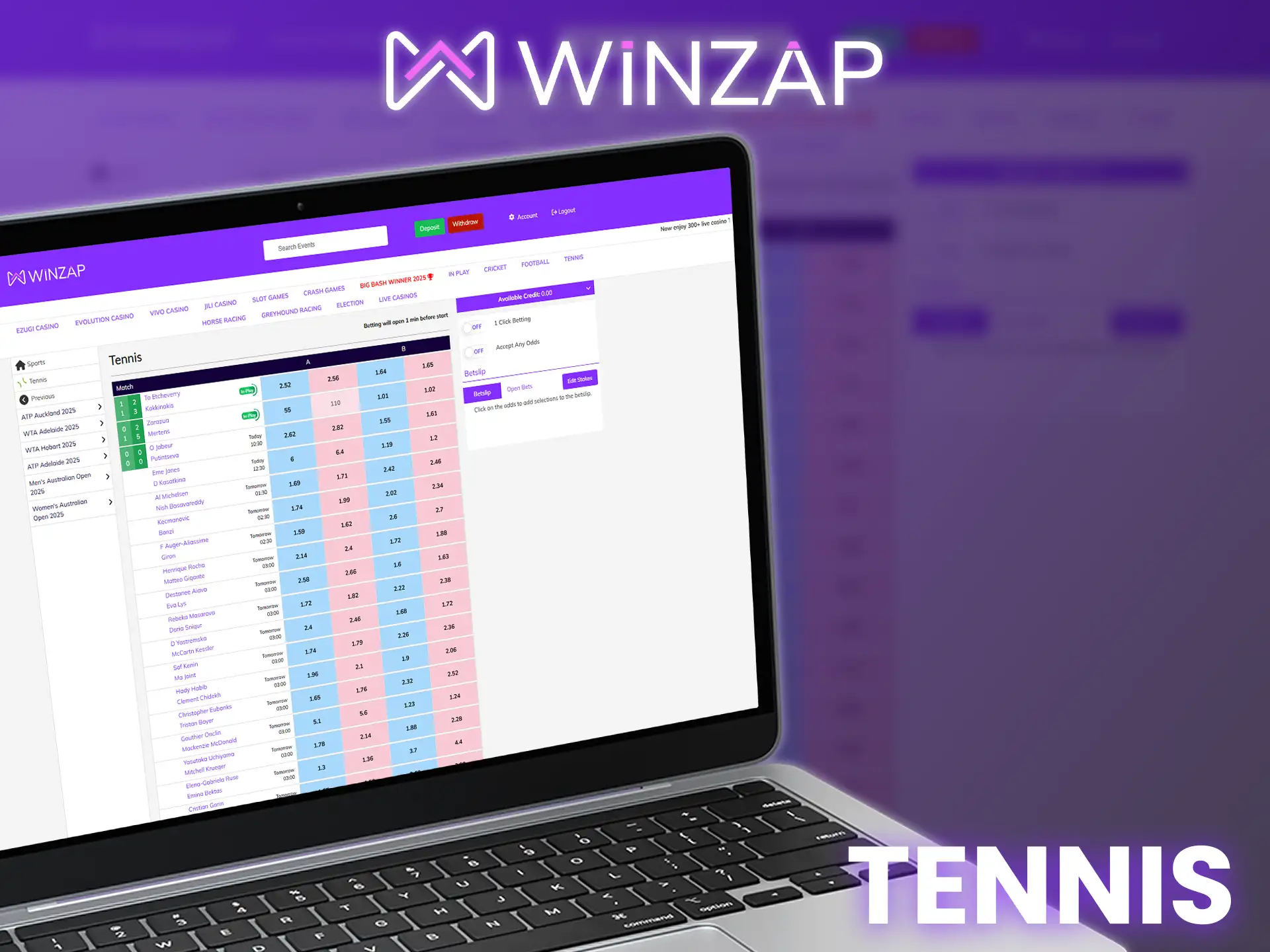 Winzap offers tennis betting on major tournaments with a variety of betting options.