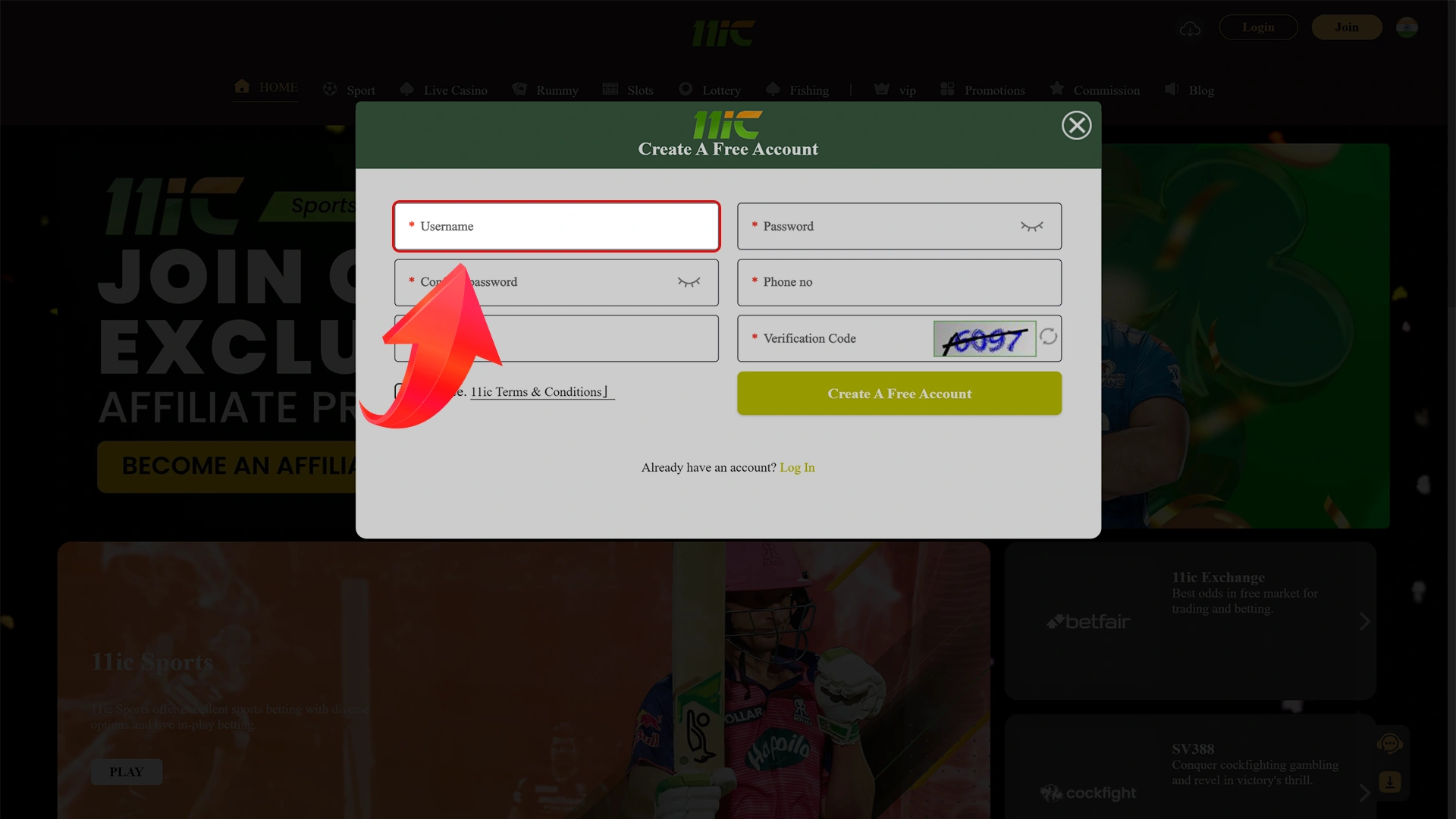 Come up with a username for the 11ic website.