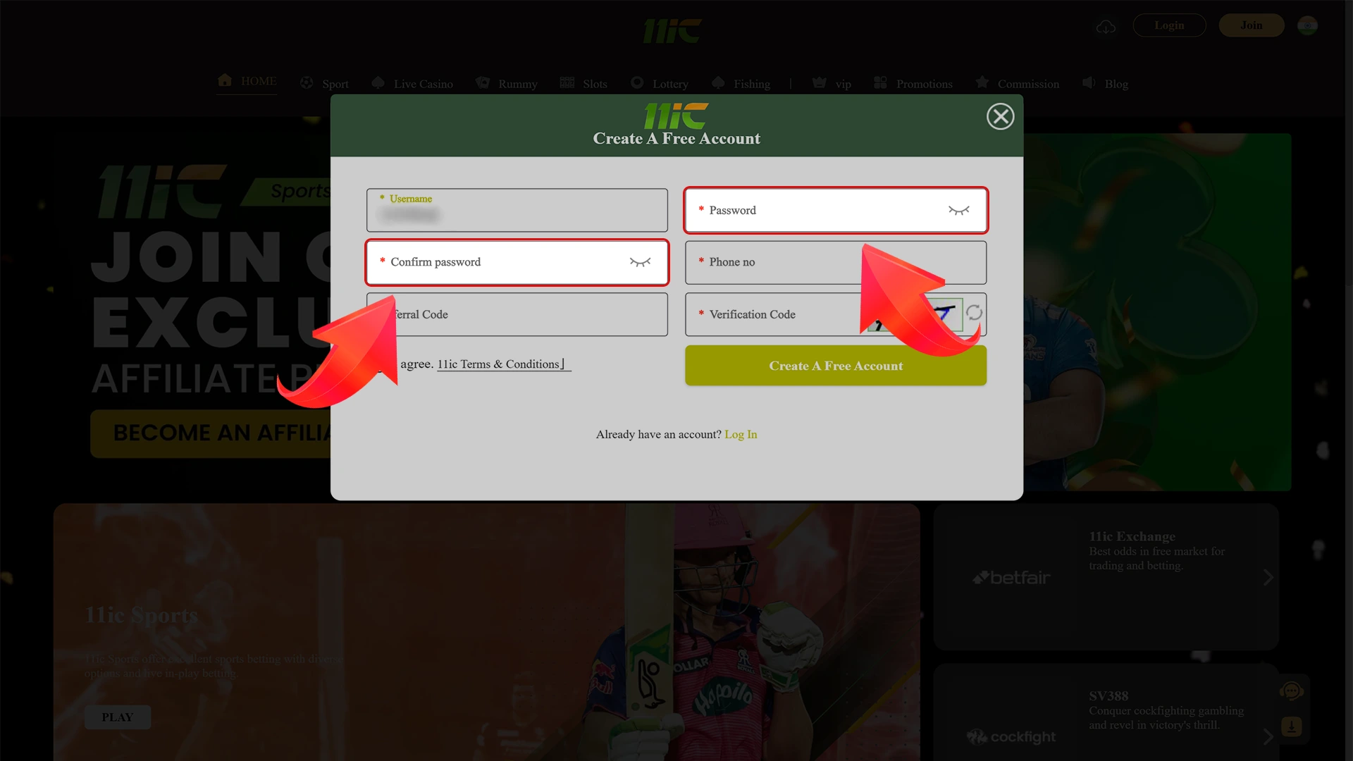 You need to create a password for your 11ic account.