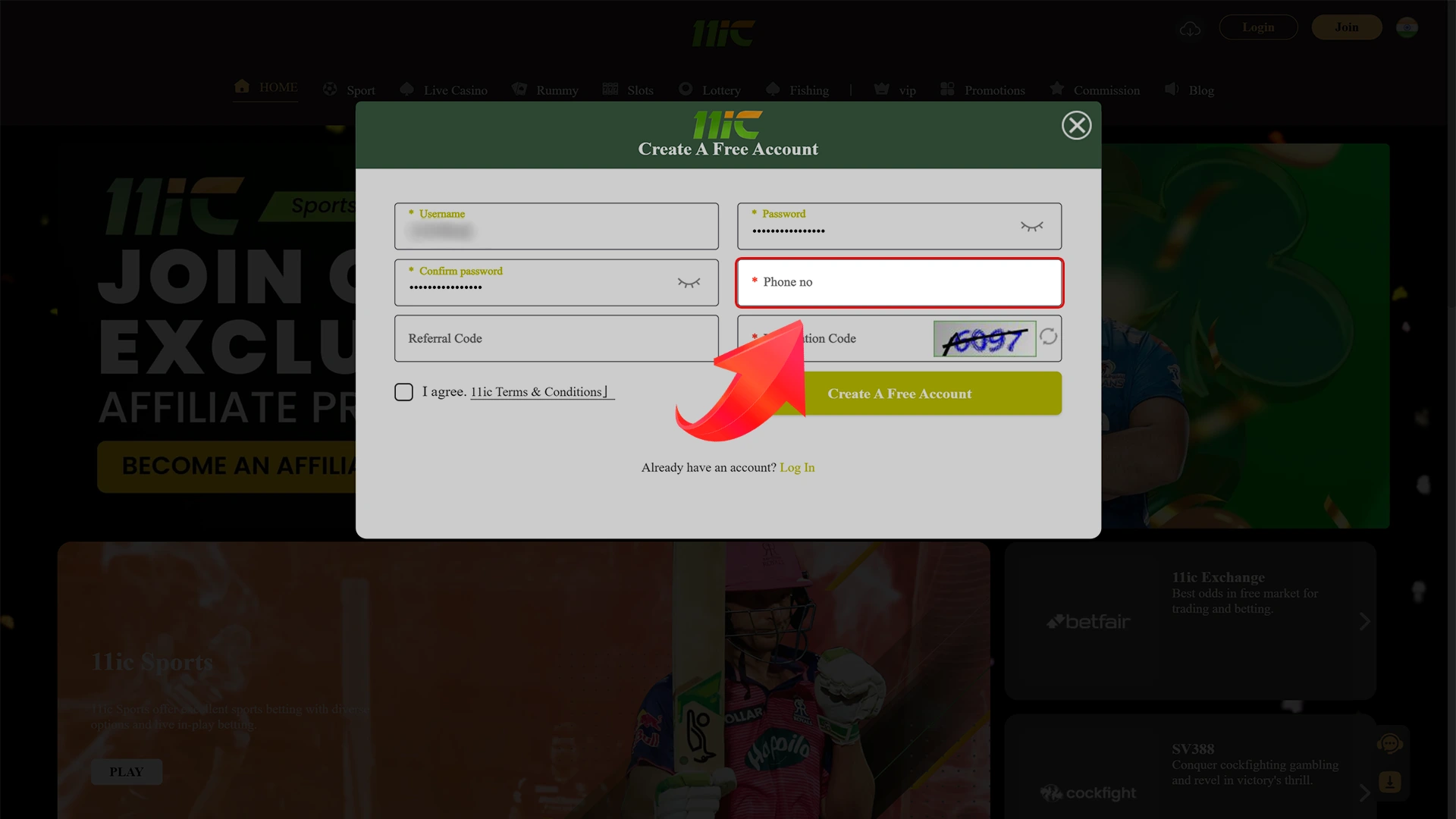 Enter your phone number in the 11ic registration form.