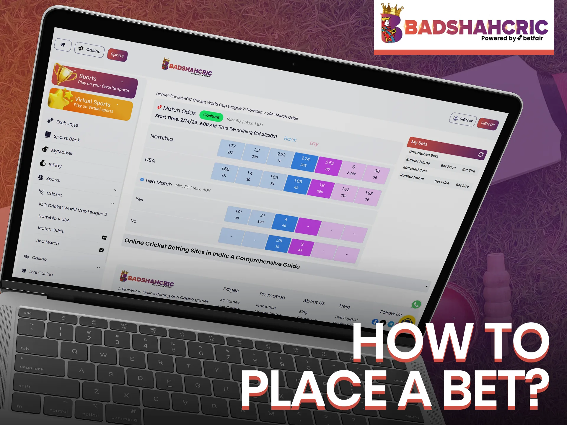 Open the Badshahcric sports section and choose what to bet on.