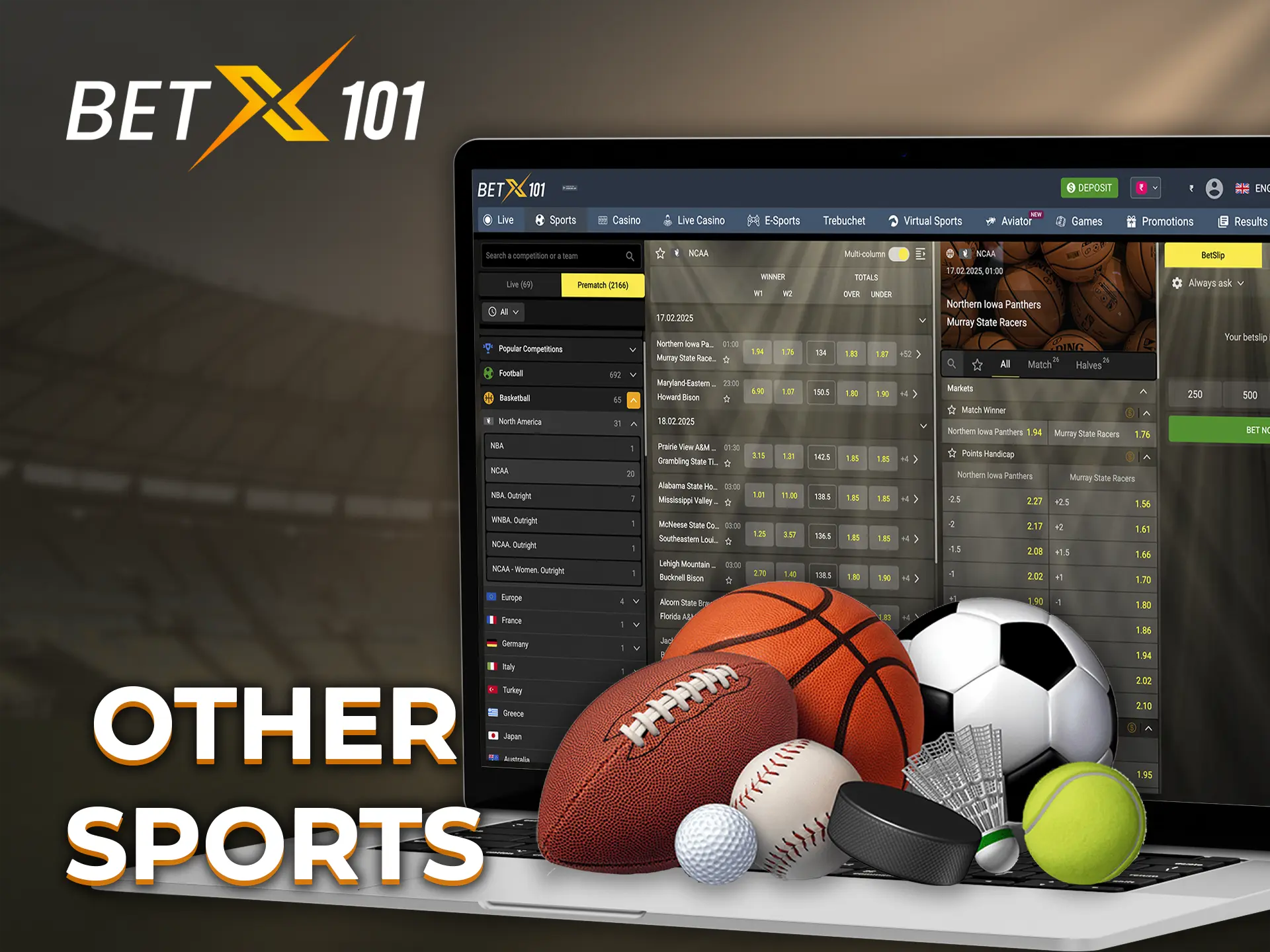 Find out about all the available sports disciplines available at Betx101 bookmaker.