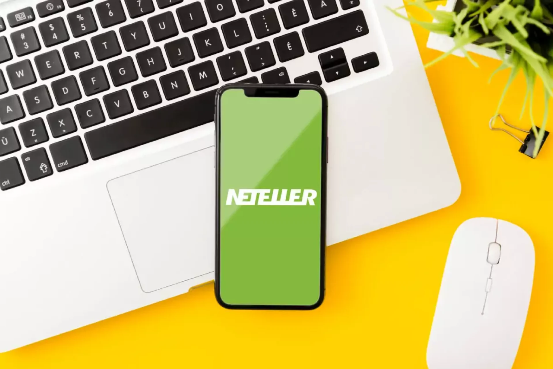 Neteller is a popular digital wallet and payment platform.